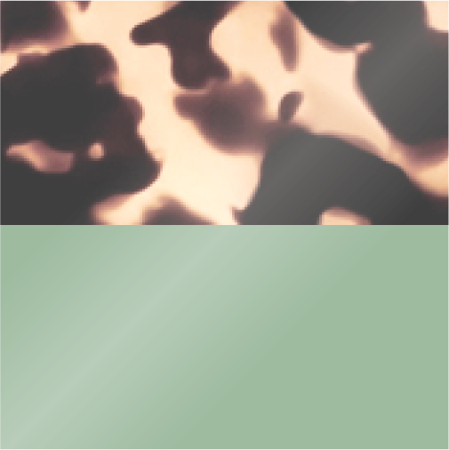 Jaggery Tortoise and Jade