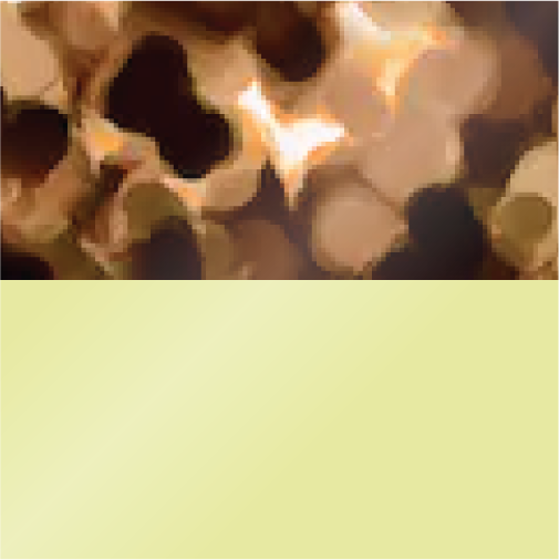 Butterscotch Tortoise and Highlighter Yellow