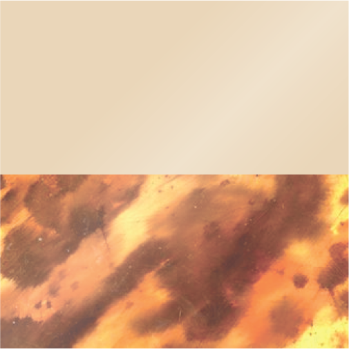 Aperol Crystal and Honeyed Tortoise