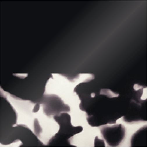 Charcoal Black and Marble Tortoise