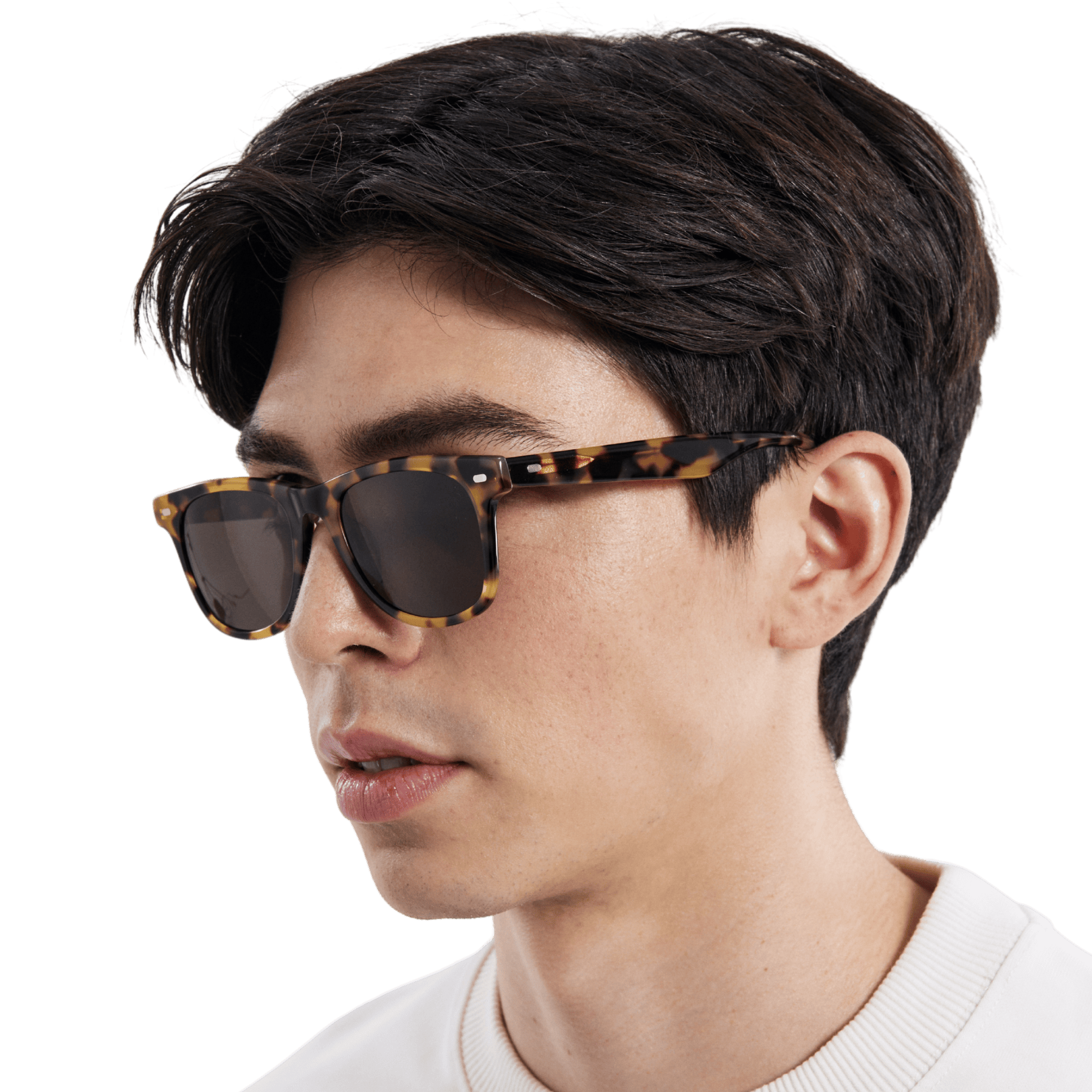 Rocket Eyewear SPT 2 Classic Fawn Tortoise with Brown Polarized Lenses