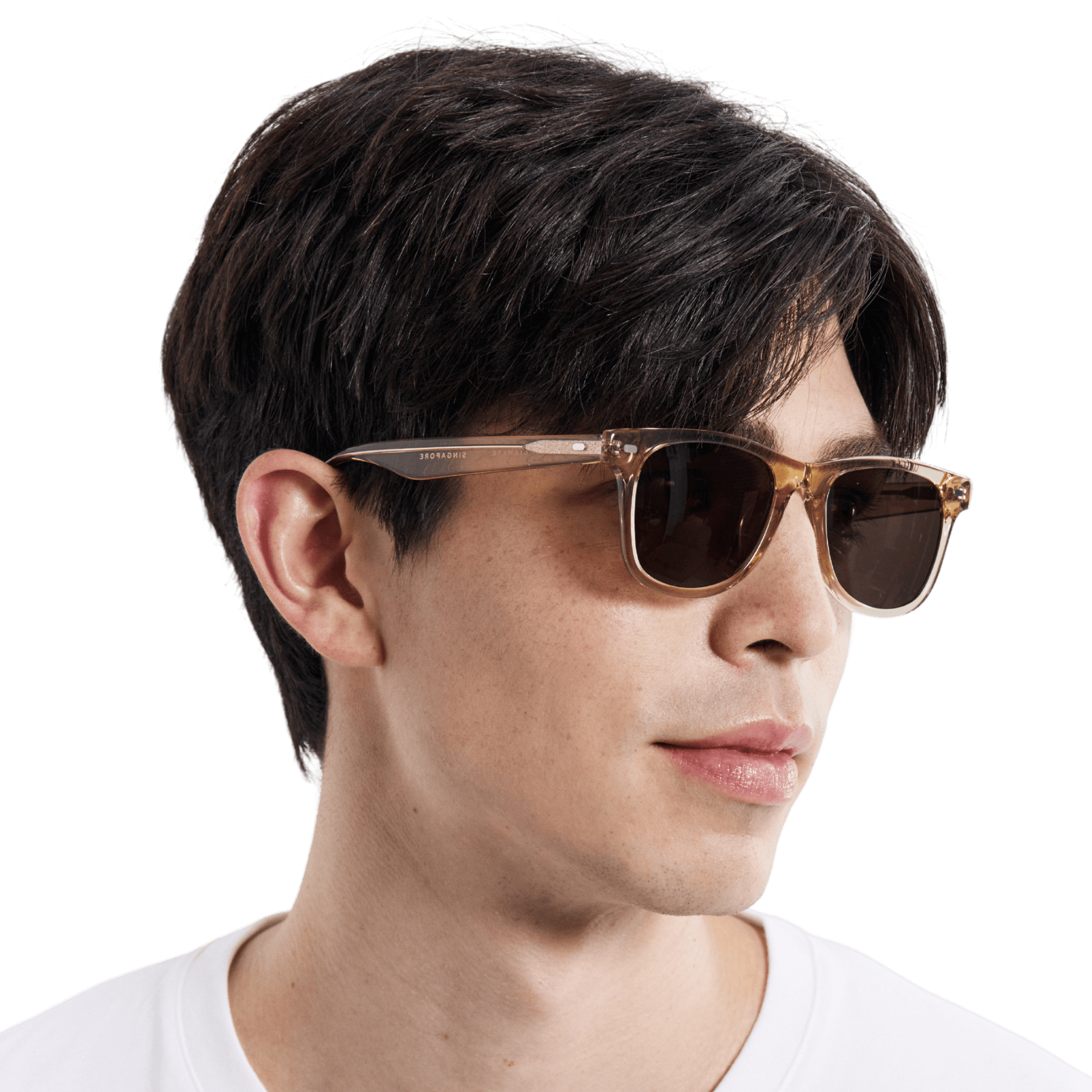 Rocket Eyewear SPT 2 Classic Gold Crystal with Brown Polarized Lenses