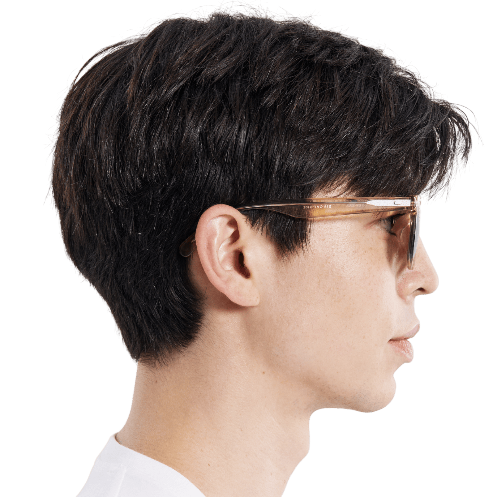 Rocket Eyewear SPT 2 Classic Gold Crystal with Brown Polarized Lenses