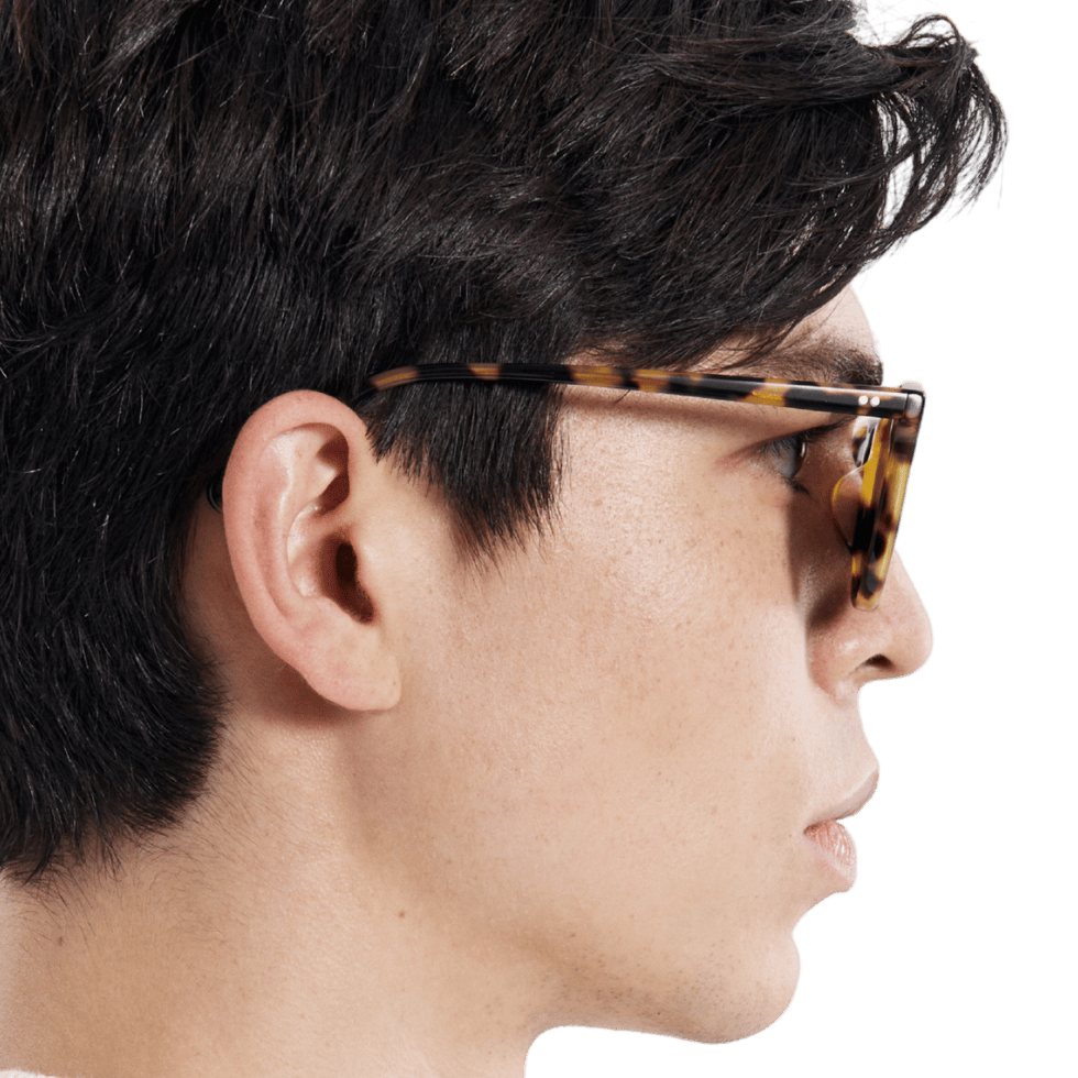 Rocket MTO P3 Classic Fawn Tortoise with Brown Polarized Lenses