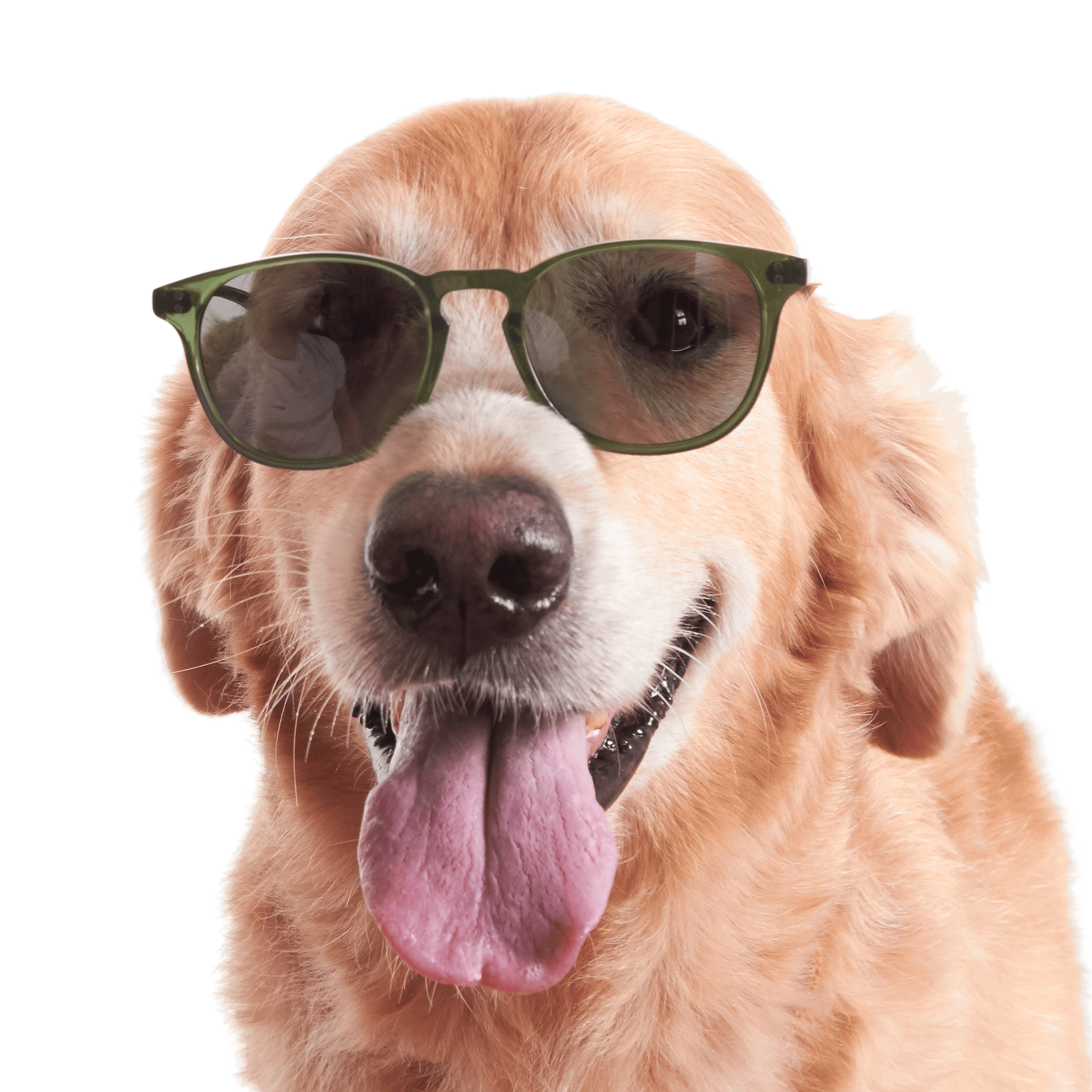 Rocket MTO P3 Classic Hunter Green Clear with Green Polarized Lenses (Launch Edition)