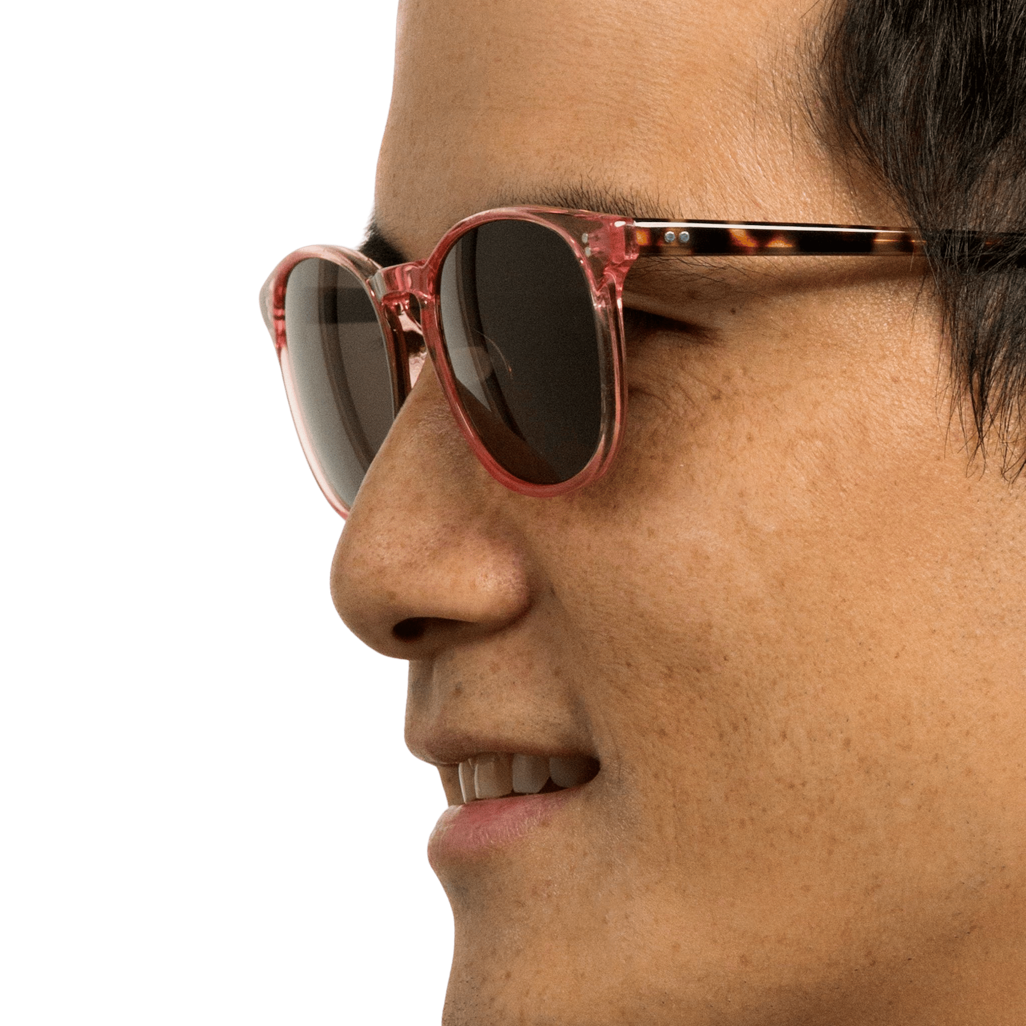 Rocket MTO P3 Classic Hibiscus Crystal &amp; Fawn Tortoise with Brown Polarized Lenses (Tortoise Returns)